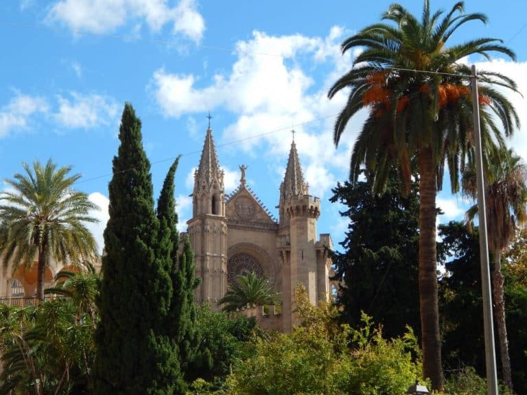 Visita guiada por la Catedral de Mallorca